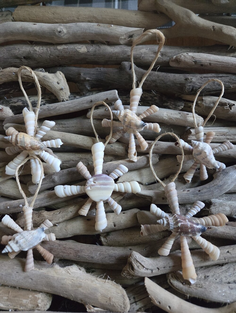 Handmade Sea Shell Star Ornaments - Natural Beige & Cream Set of Six
